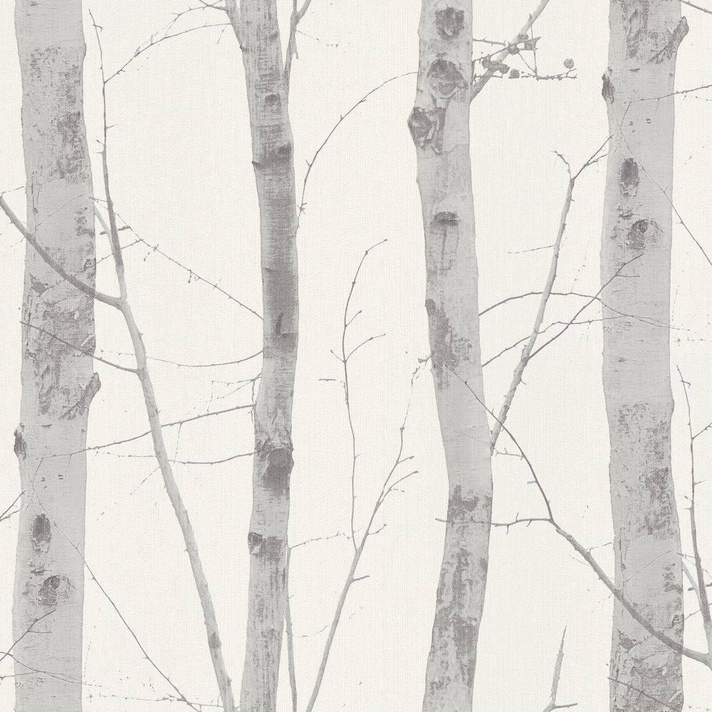 Silver Birch Tree Art Wallpaper