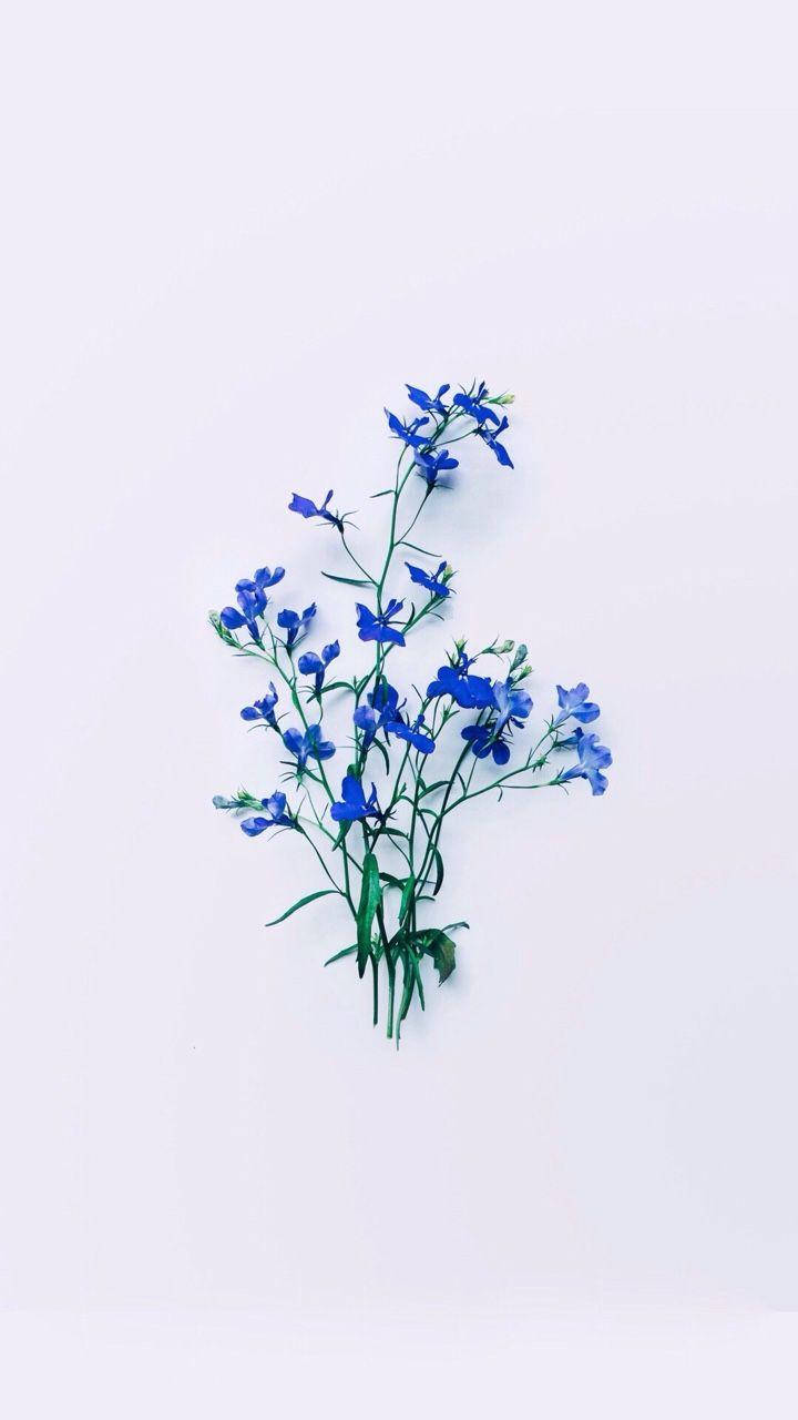 Simple Blue Flowers Aesthetic Wallpaper