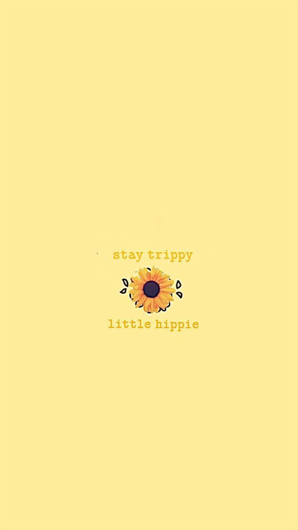 Simple Boho Sunflower Wallpaper