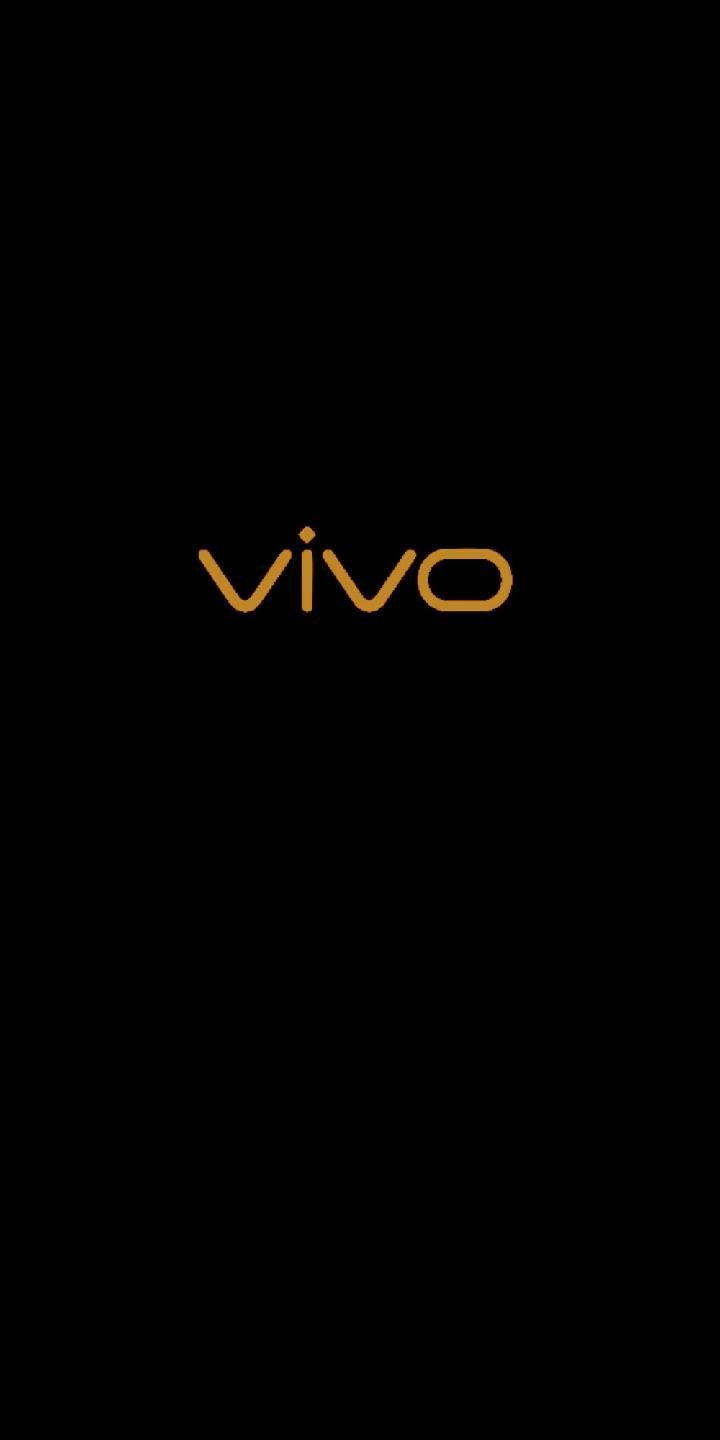 Simple Orange Vivo Logo Wallpaper