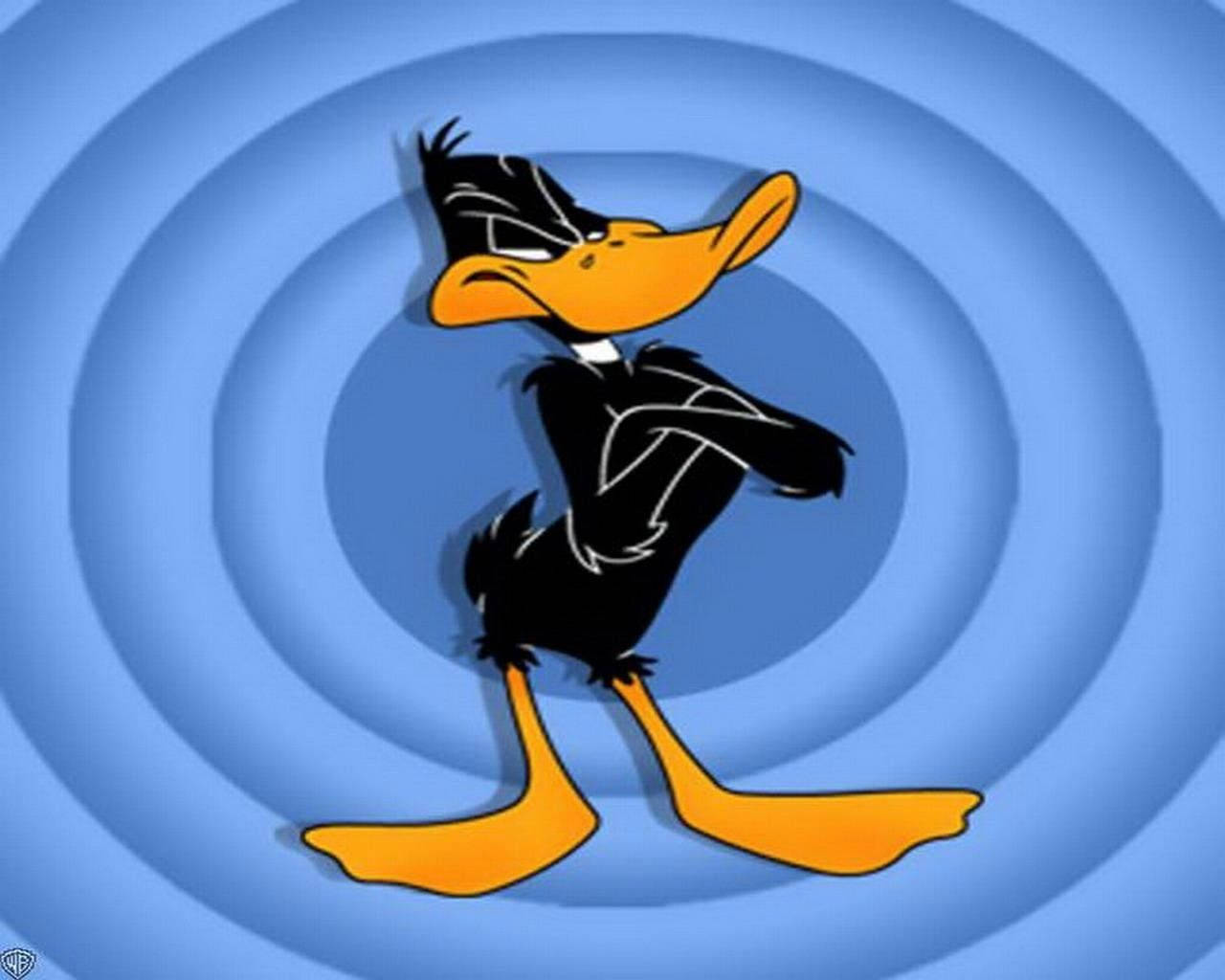 Sinister Look Of Daffy Duck Wallpaper