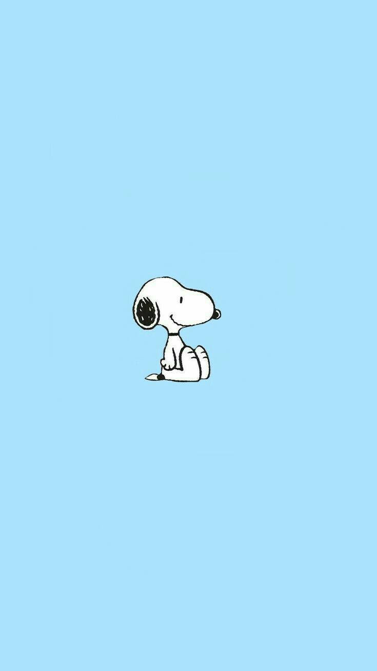 Sitting Snoopy Blue Background Wallpaper