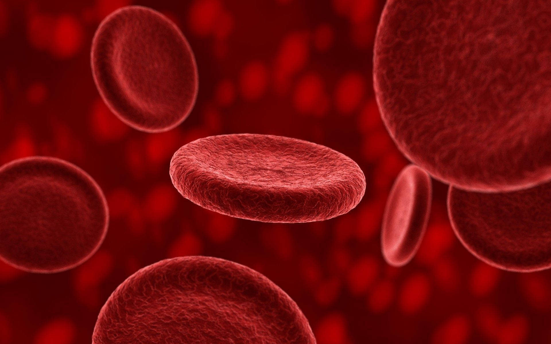 Snapshot Of Red Blood Cells In Motion Wallpaper