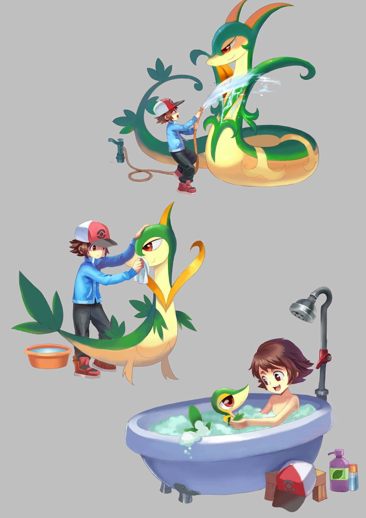 Snivy Being Bathed By Touya Wallpaper