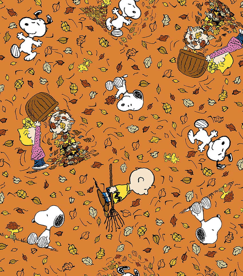 Snoopy Is Ready To Give Thanks Wallpaper