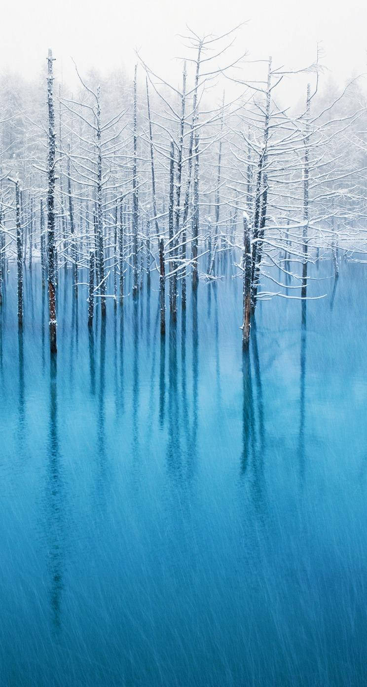 Snow Trees Over Blue Water Ios 7 Wallpaper