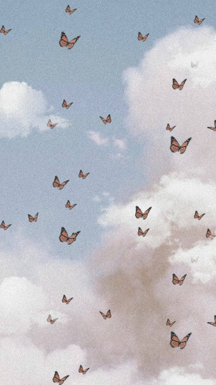 Soft Aesthetic Butterflies Wallpaper