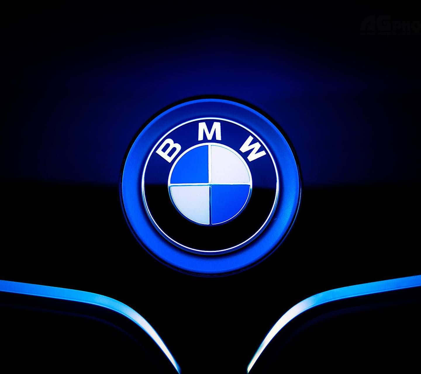 Sophisticated Bmw Logo On Solid Background Wallpaper