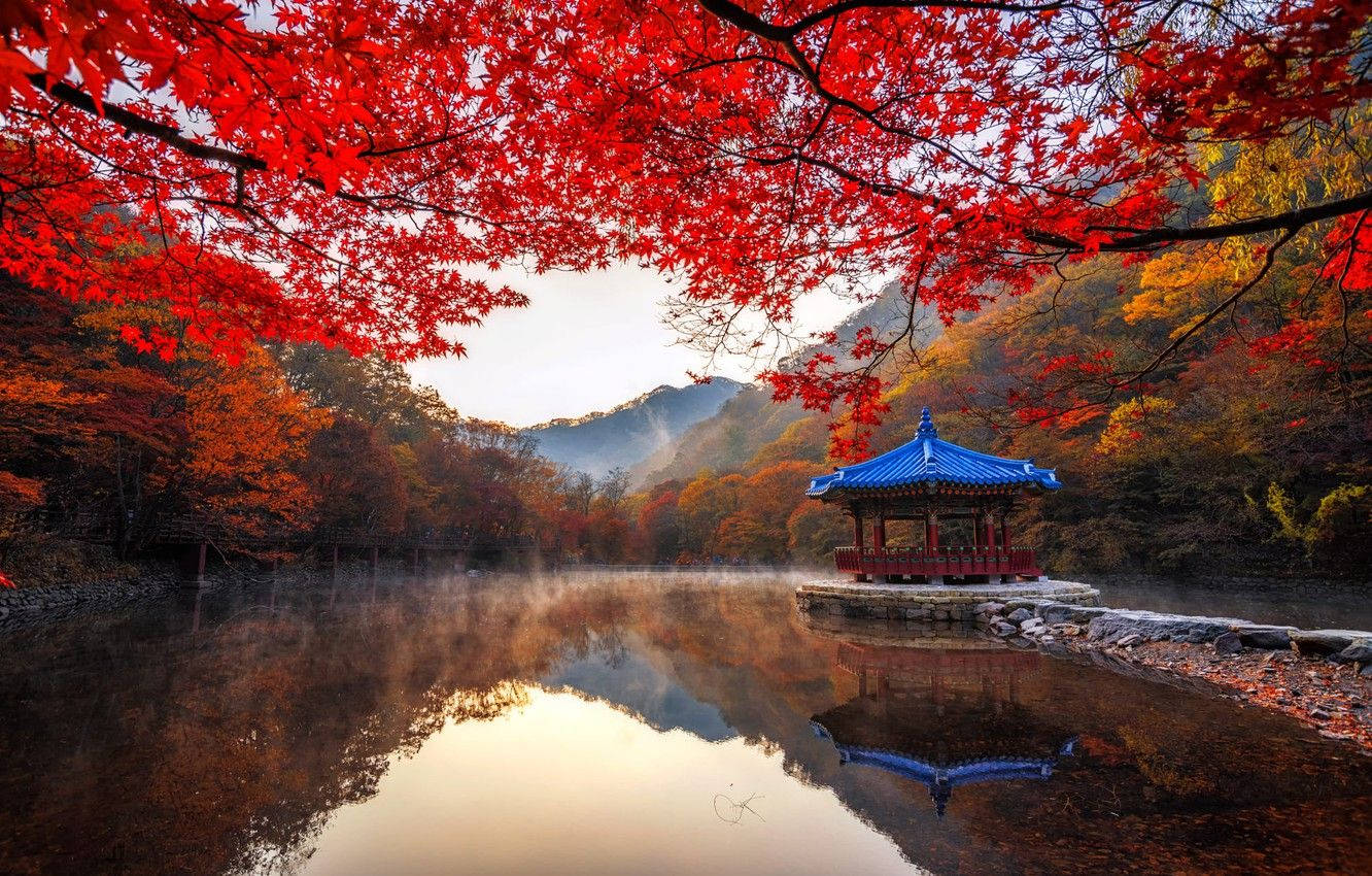 South Korea Hd Naejangsan Park Wallpaper