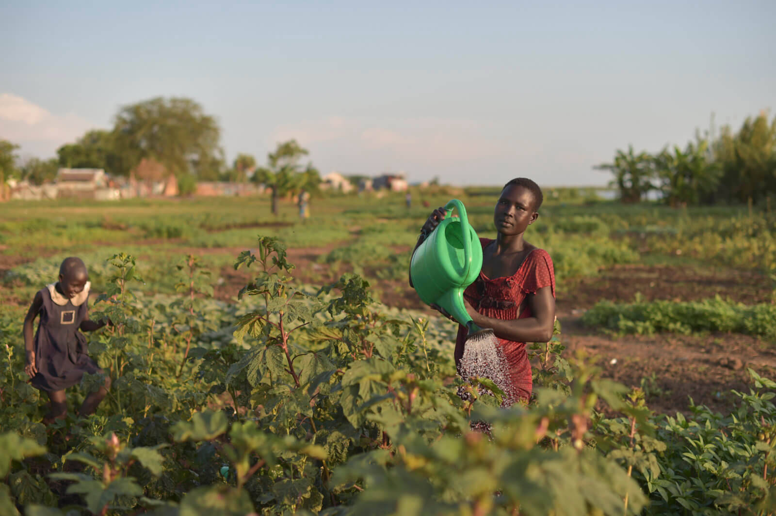 South Sudan Green Watering Can Wallpaper