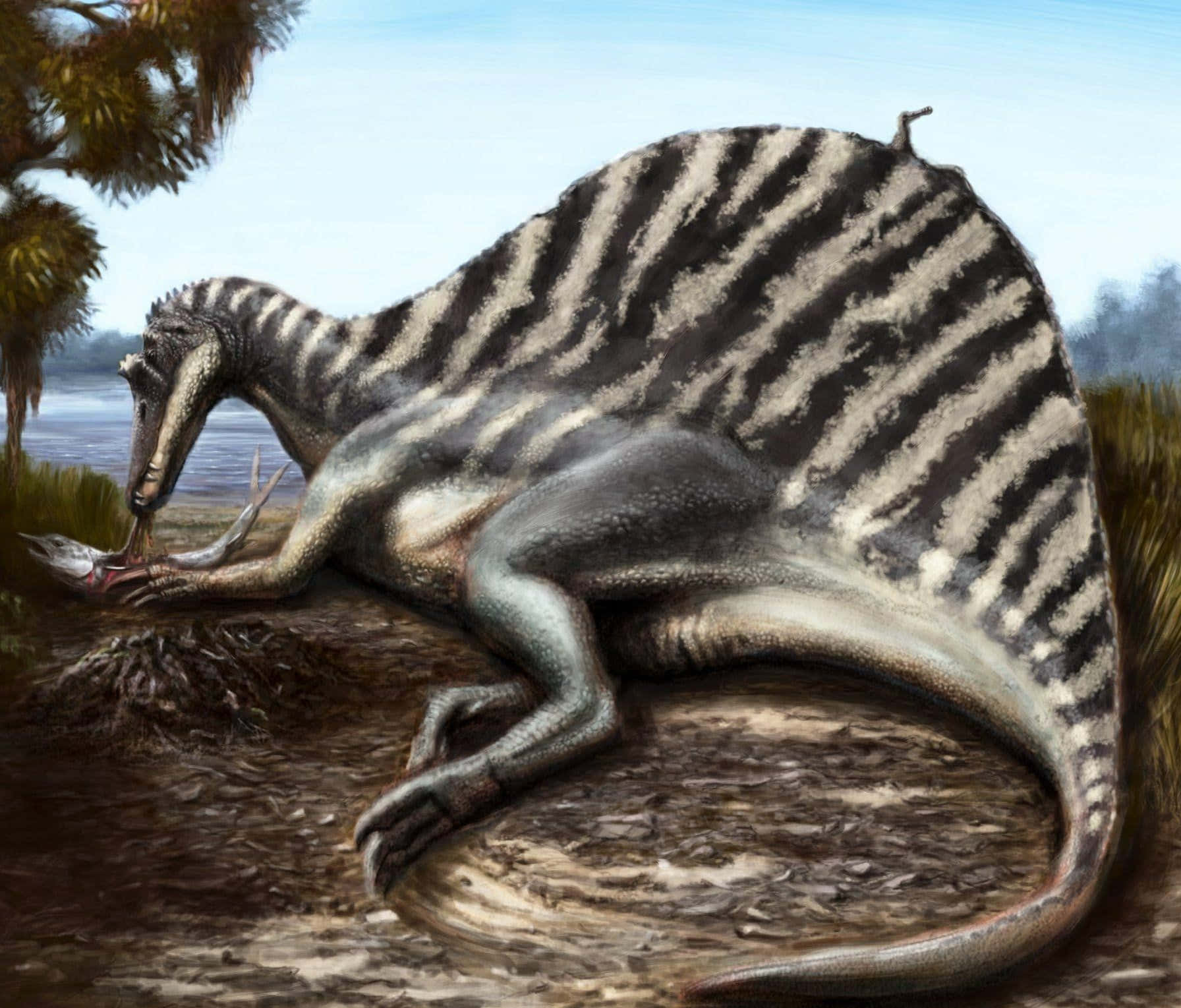 Spinosaurus Eating A Fish Wallpaper