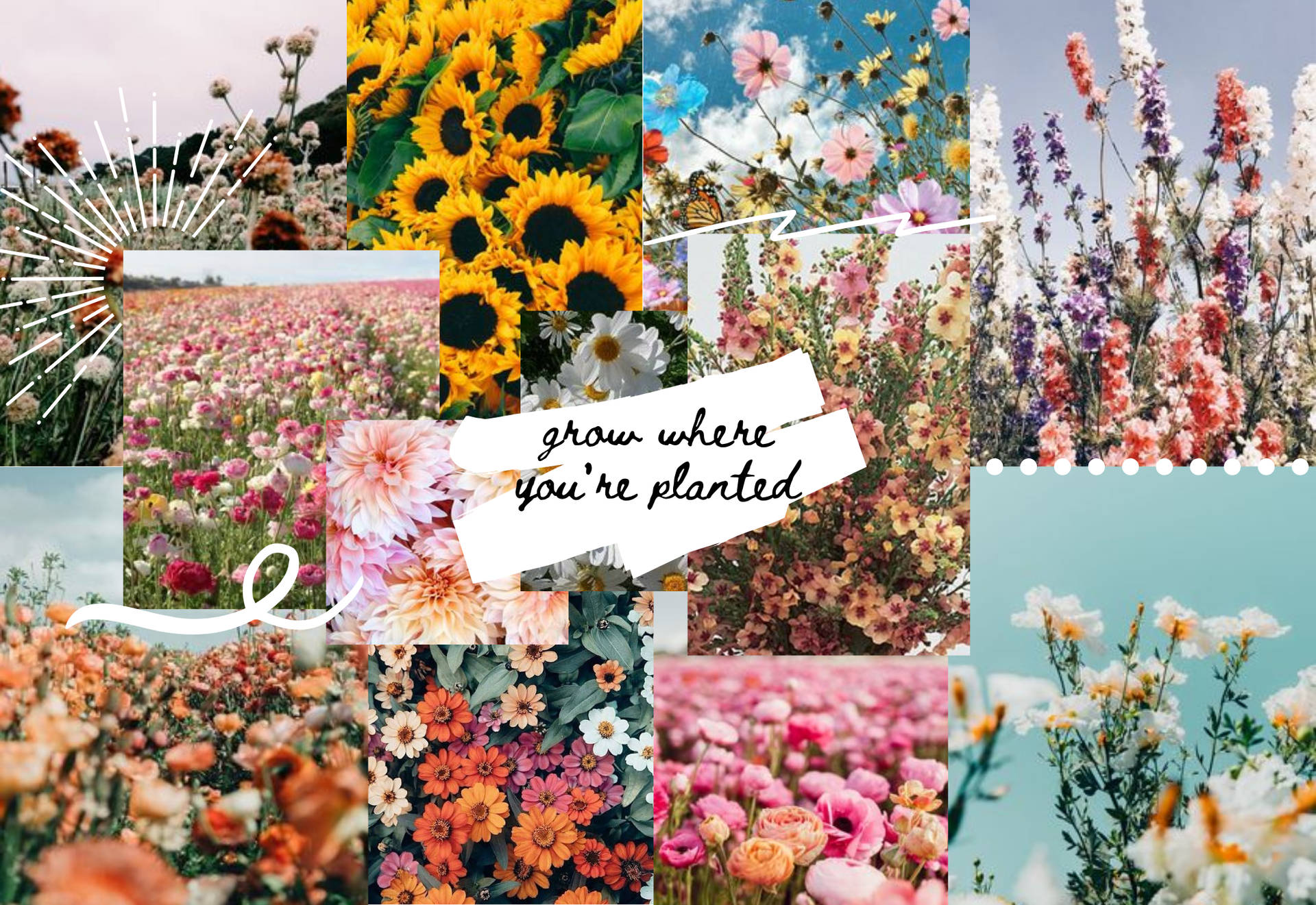 Spring Aesthetic Collage Wallpaper