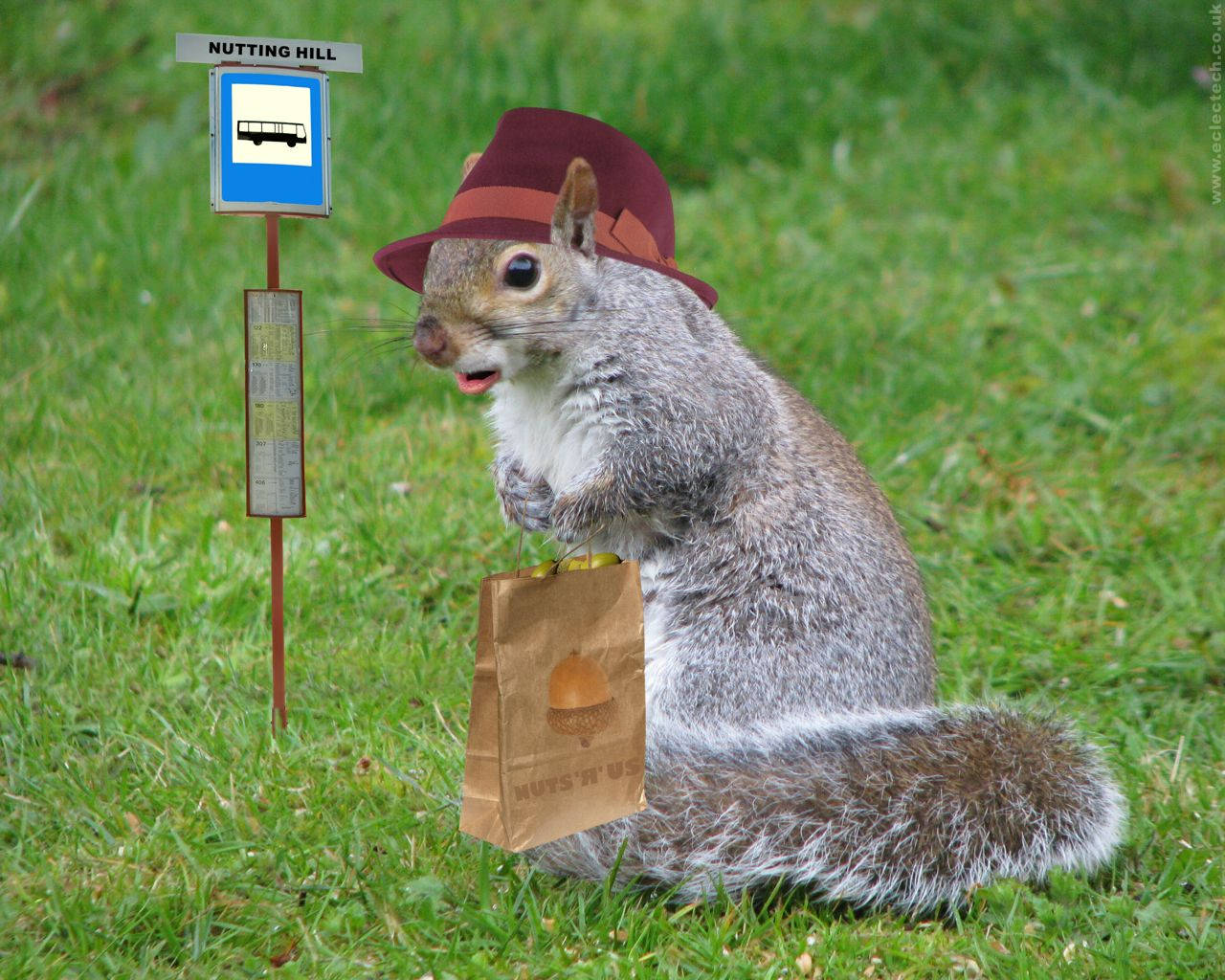 Squirrel Holding Paper Bag Wallpaper