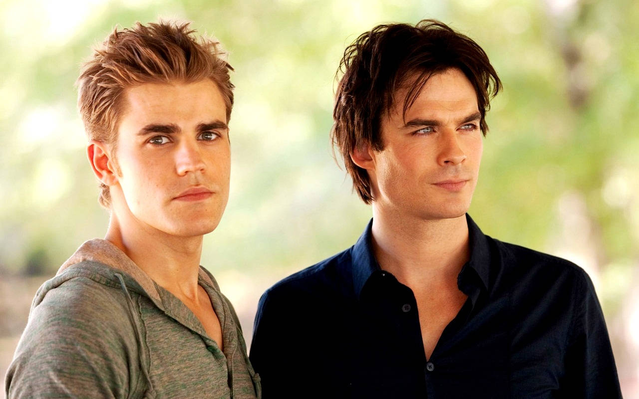 Stefan Salvatore And Damon Wallpaper