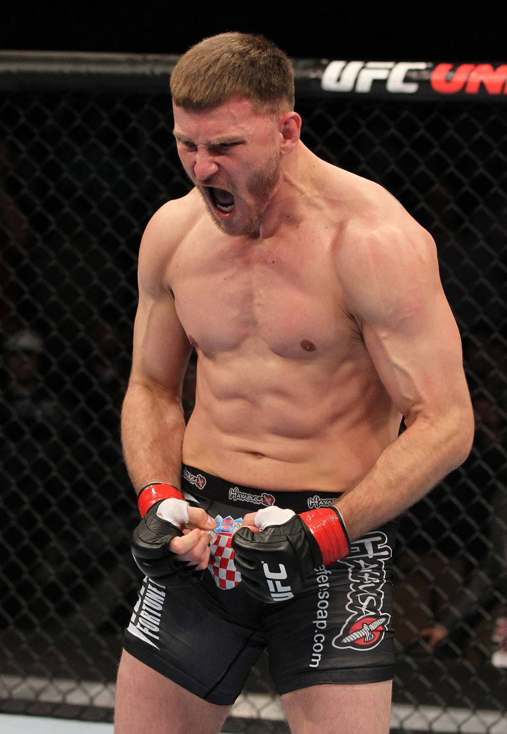 Stipe Miocic Shouting In Octagon Wallpaper