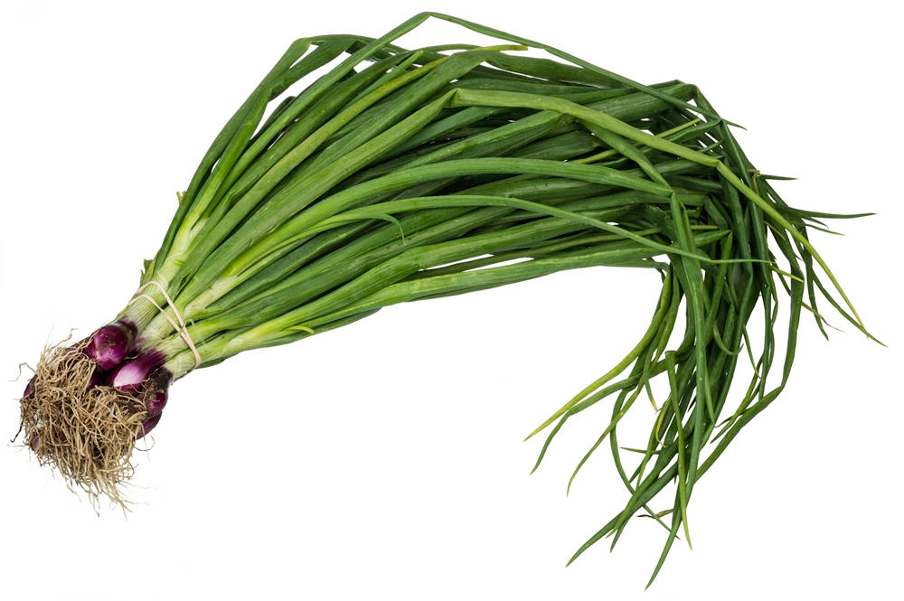 String Of Fresh Spring Onion Wallpaper