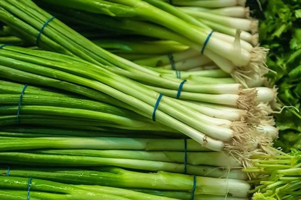 Strings Of Fresh Piled Spring Onions Wallpaper