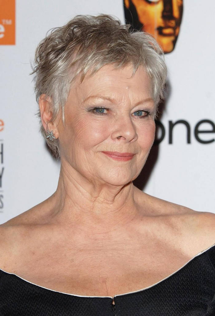 Stunning Actress Judy Dench Wallpaper