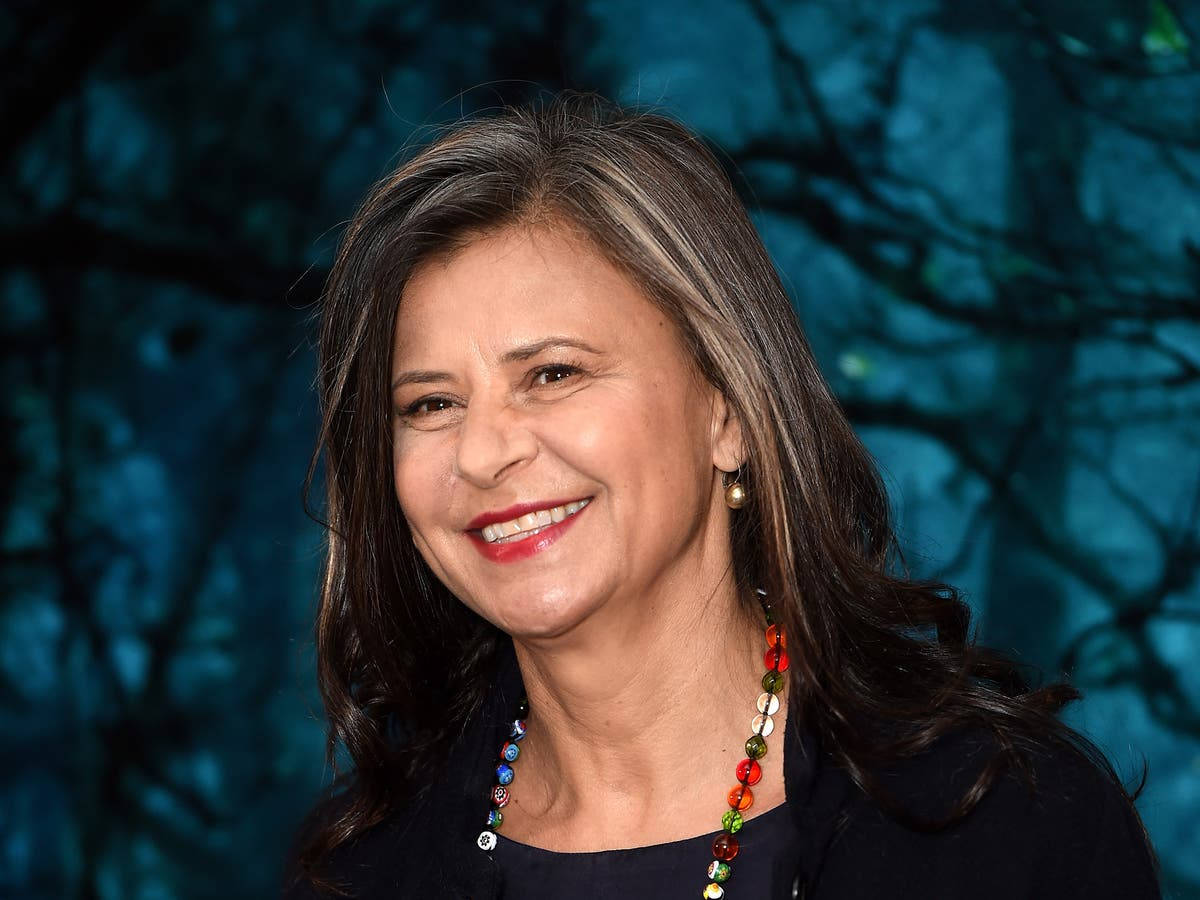 Stunning Actress Tracey Ullman Wallpaper