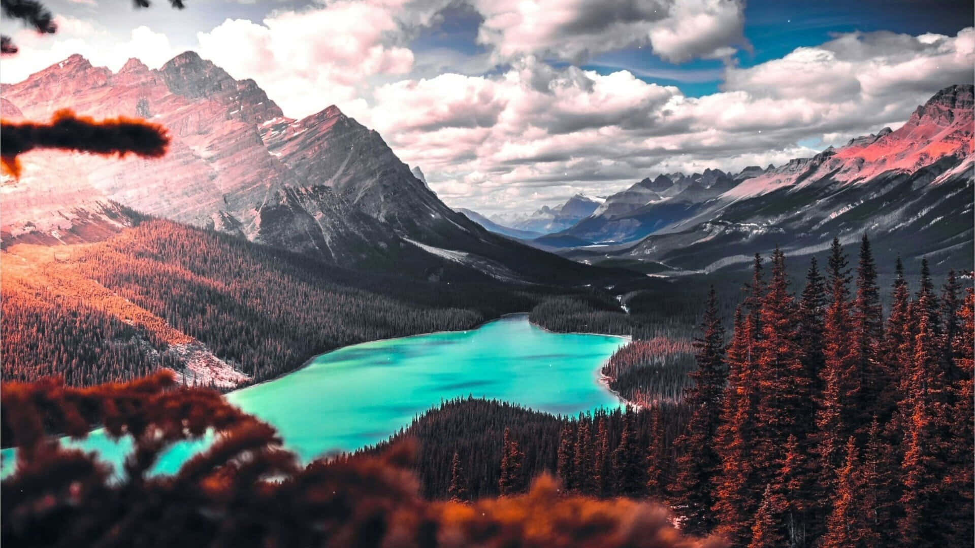 Stunning View Of Peyto Lake In The Heart Of The Canadian Rockies Wallpaper