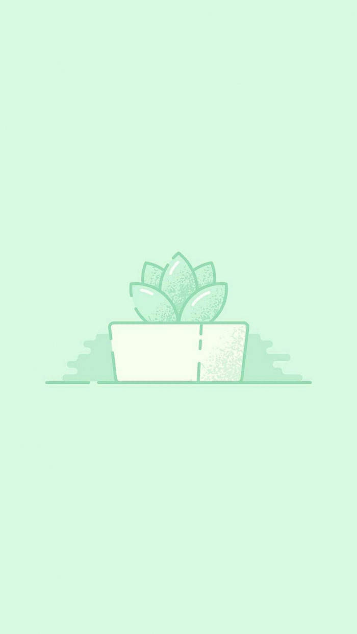 Succulent Pastel Green Aesthetic Wallpaper