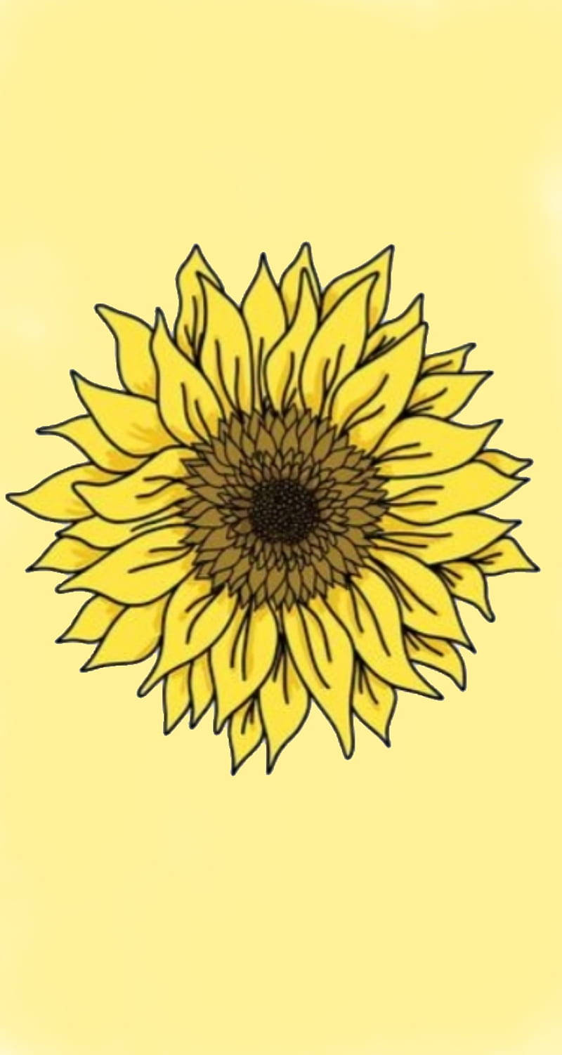 Sunflower Cute Yellow Aesthetic Wallpaper