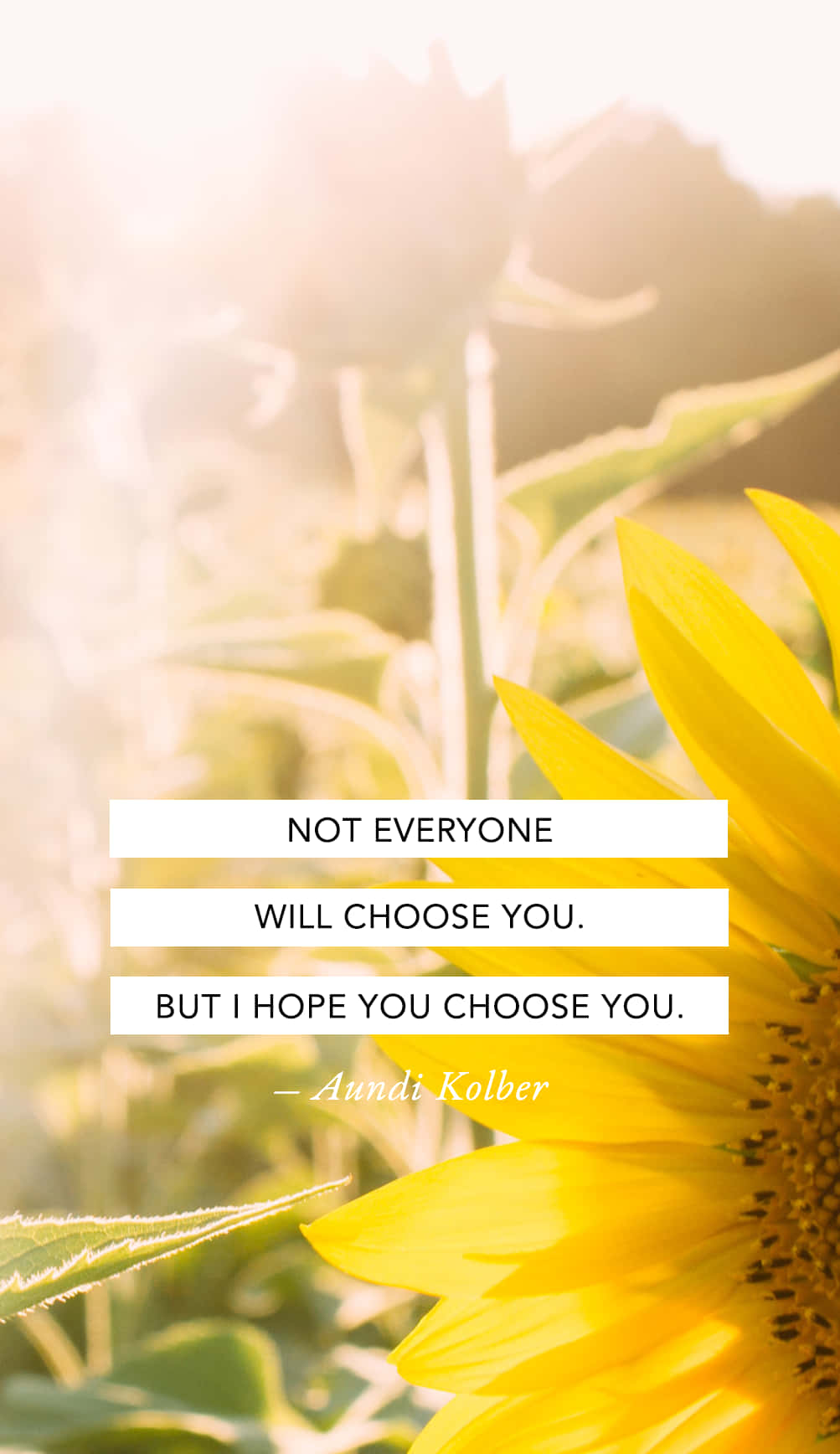 Sunflower Love Quotes Wallpaper