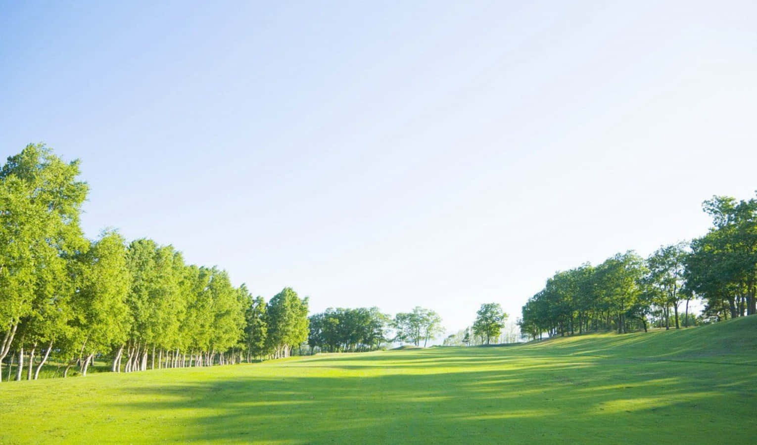 Sunny Day Beautiful Green Park Wallpaper