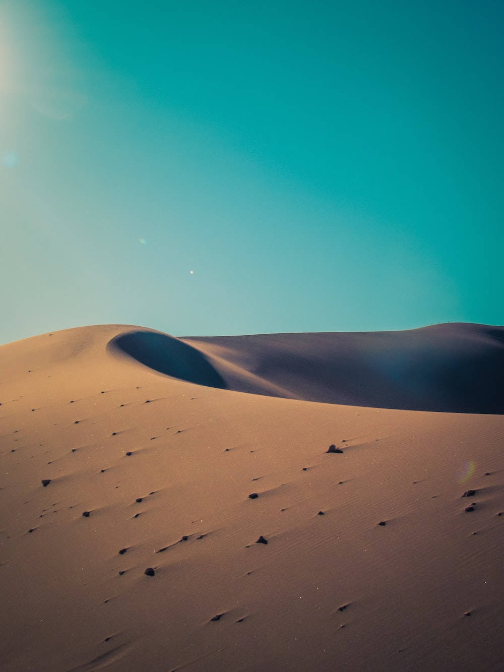 Sunny Desert Themes Wallpaper