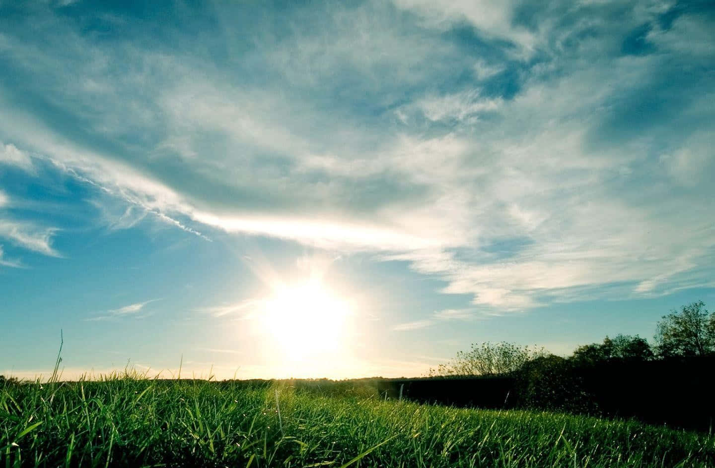 Sunrise Over Grassy Field Sky Wallpaper