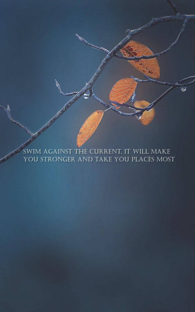 Swim Against The Current Quote Phone Wallpaper