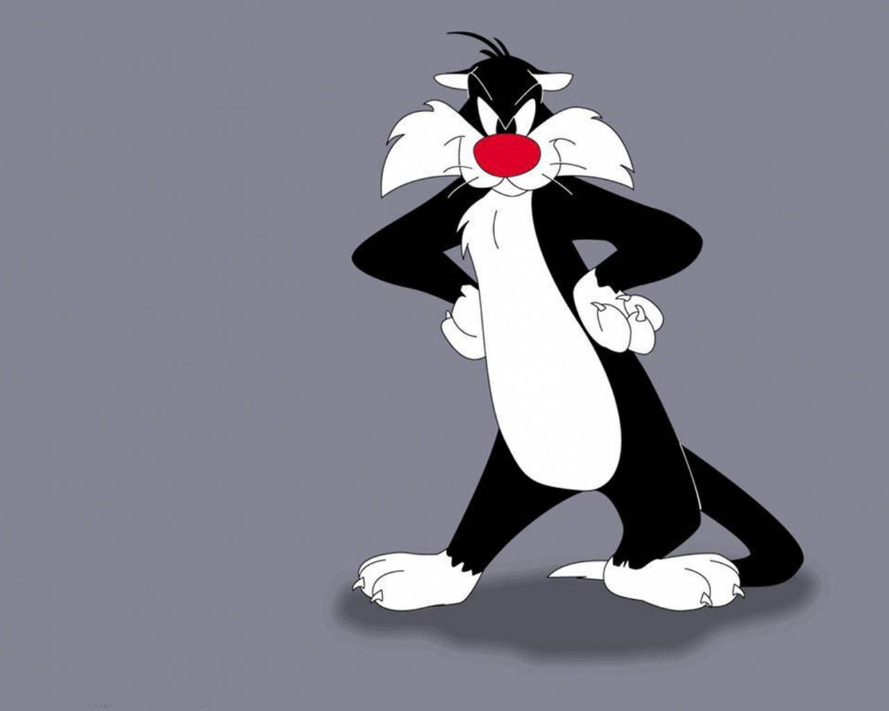 Sylvester Pussycat Wallpaper