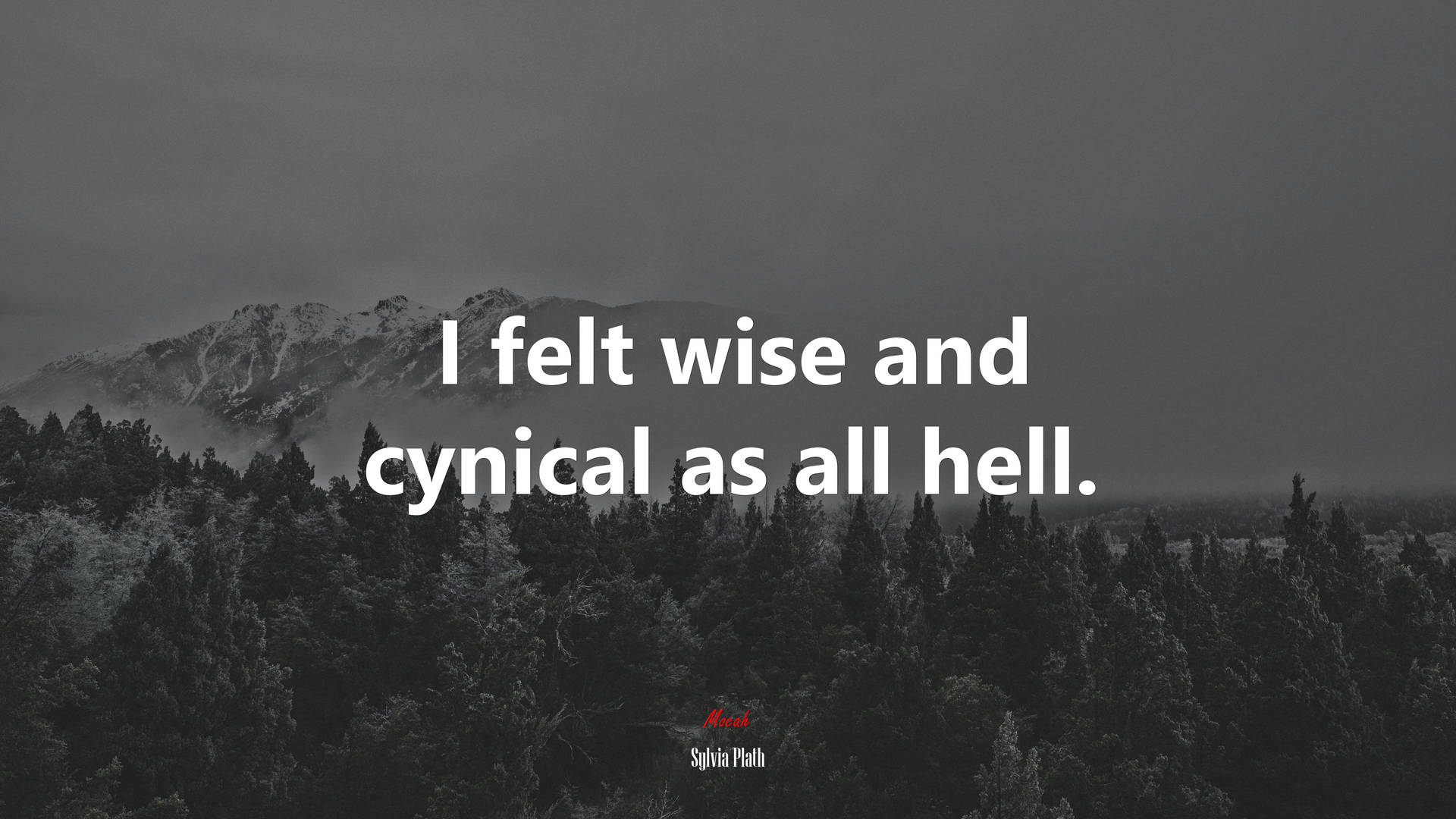 Sylvia Plath Cynical Wallpaper