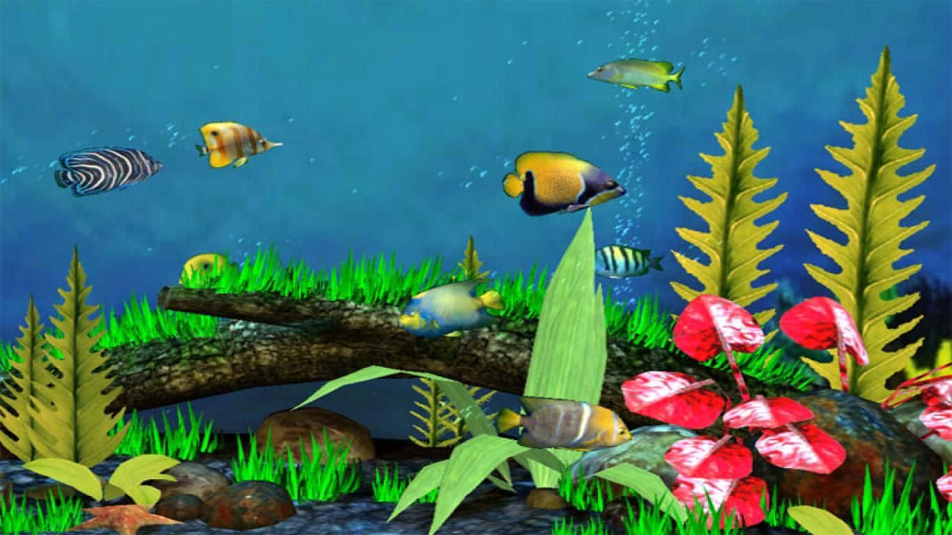 Take A Dip With Live Fish Wallpaper