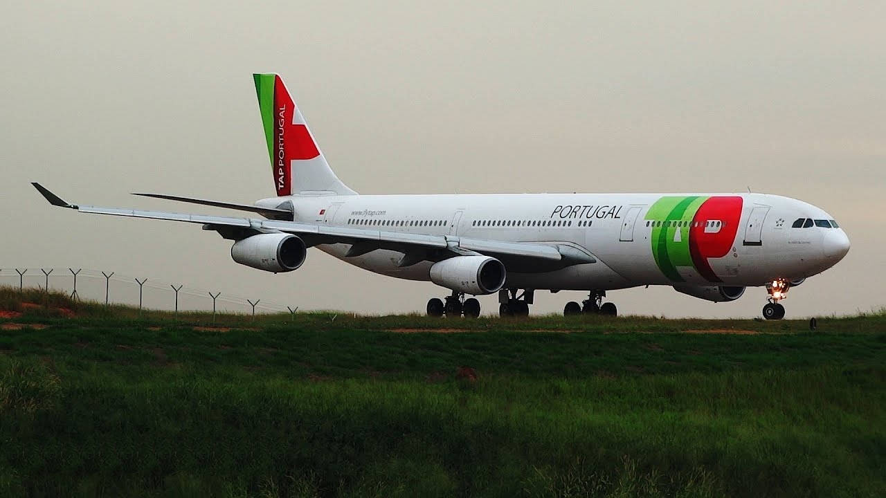 Tap Portugal Plane On Grass Wallpaper