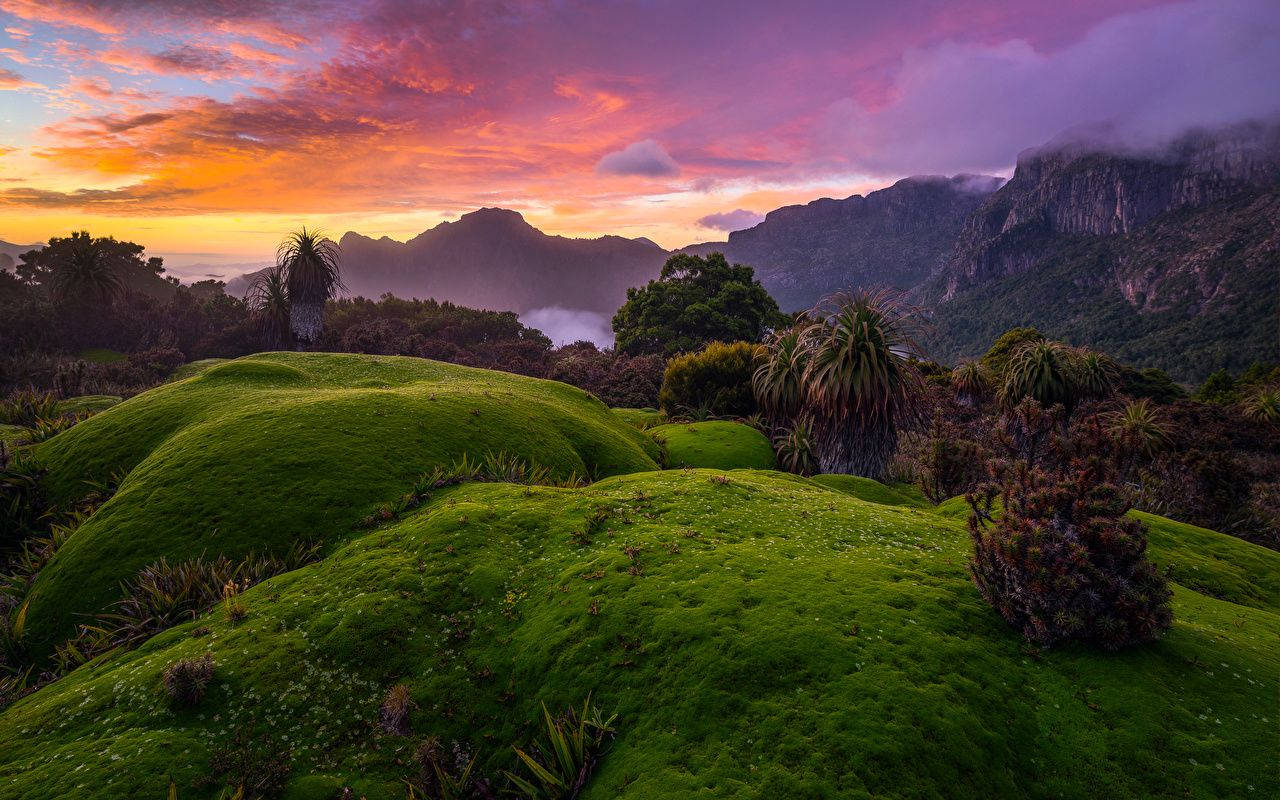 Tasmania Mossy Hills Wallpaper