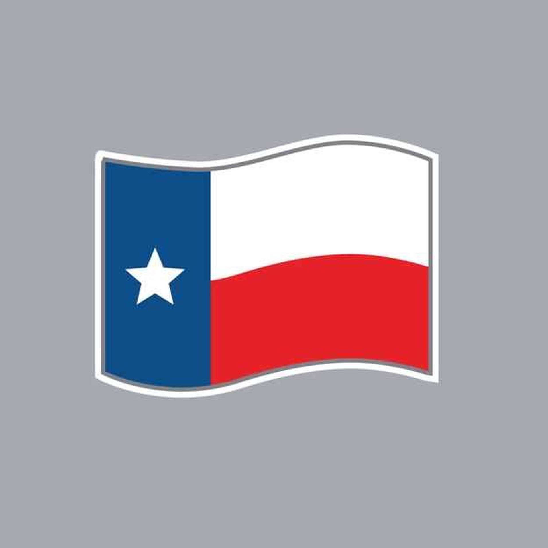 Texas Flag Gray Poster Wallpaper