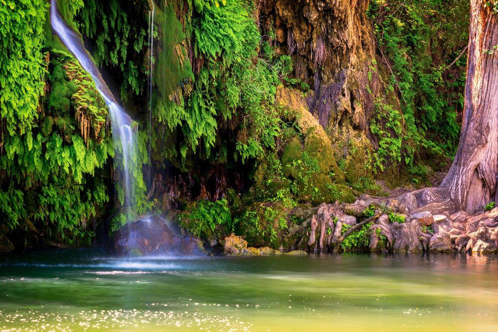 Texas Krause Springs Wallpaper