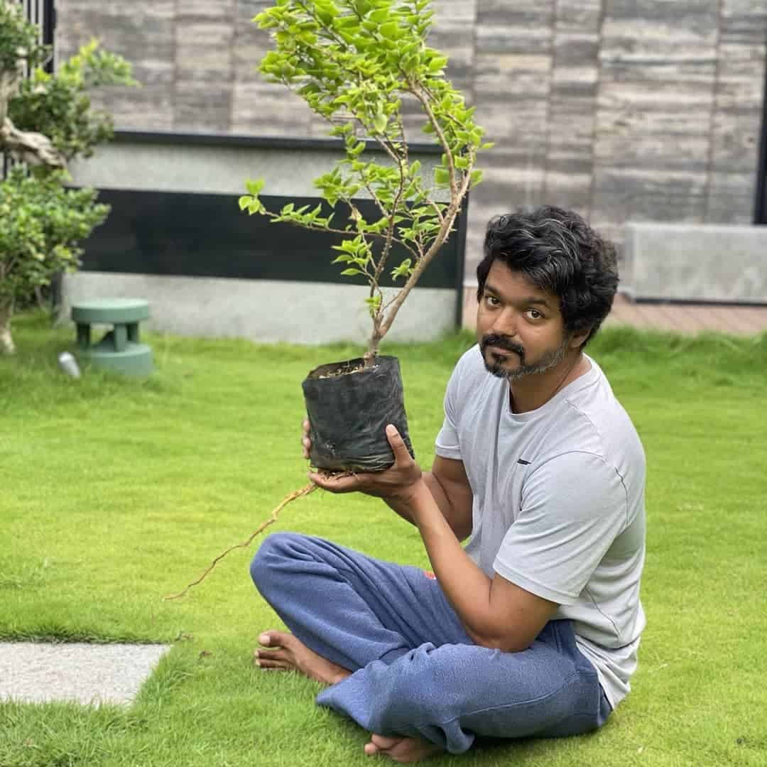 Thalapathy Hd Garden Wallpaper