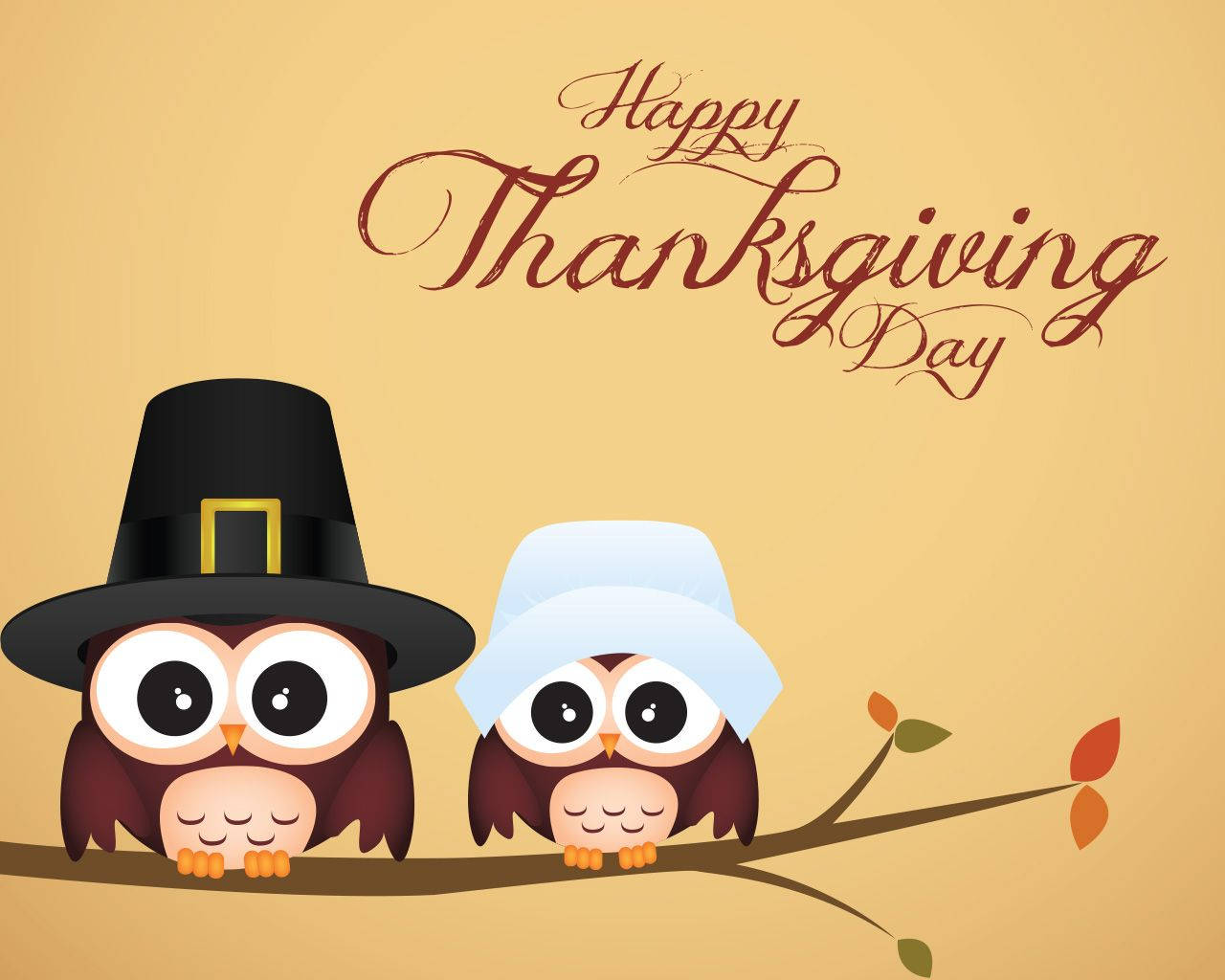 Thanksgiving Day Owls With Hats Wallpaper