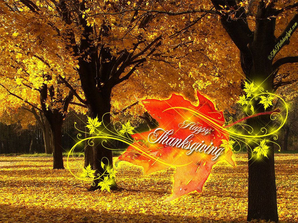 Thanksgiving Day With Animated Leaf Wallpaper