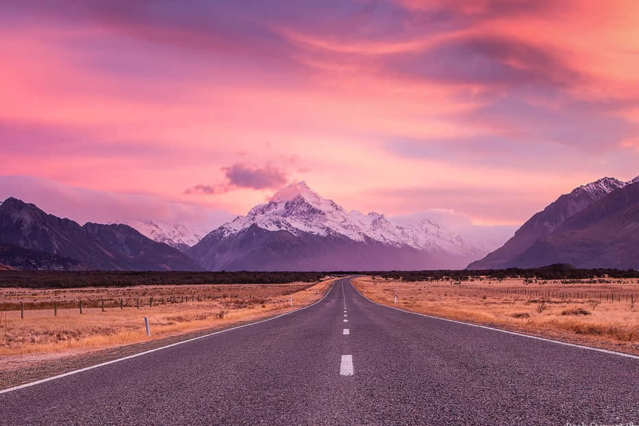The Google Landscape - Explore The Full Range Of Google Opportunities Wallpaper