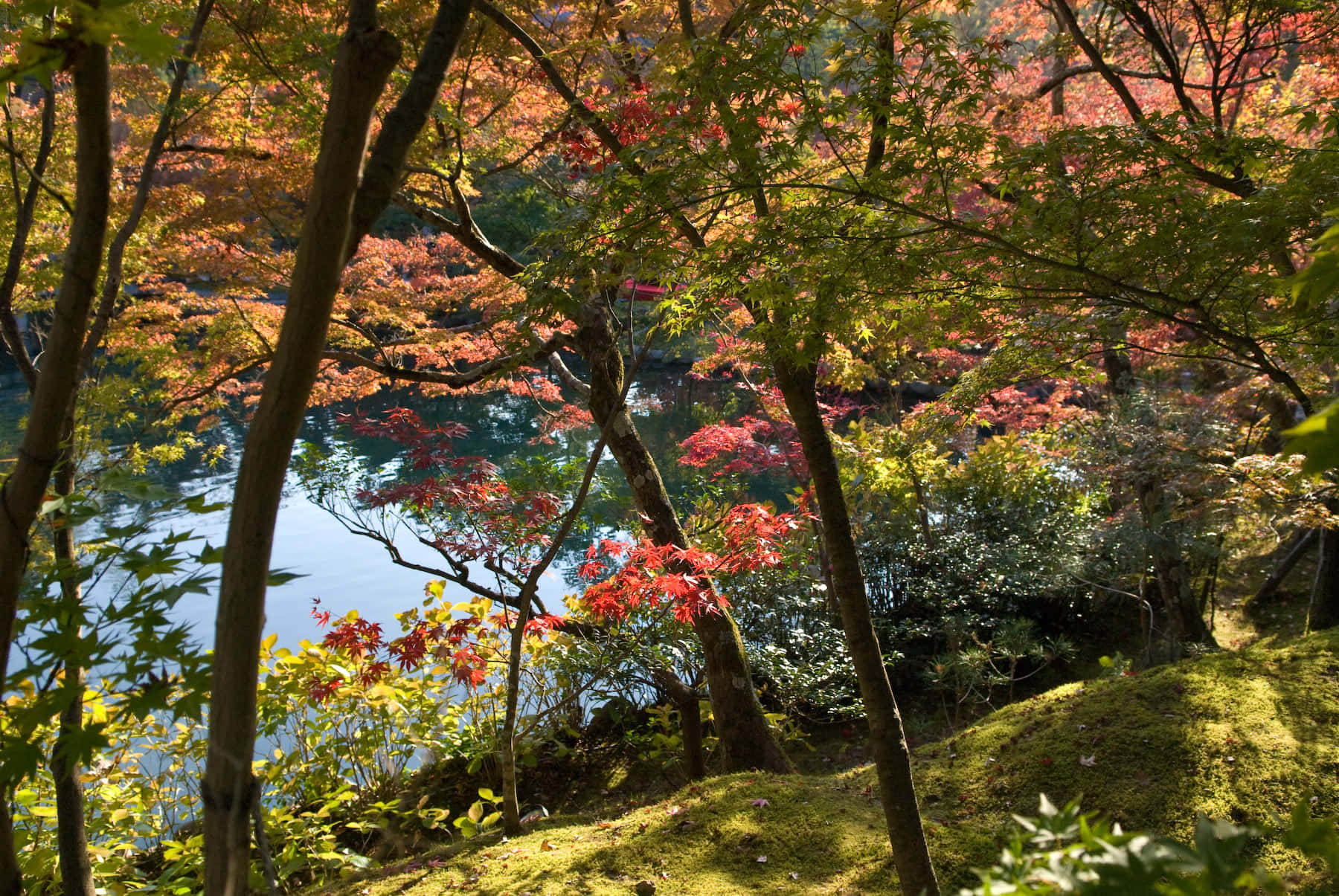 “the New England Autumn” Wallpaper