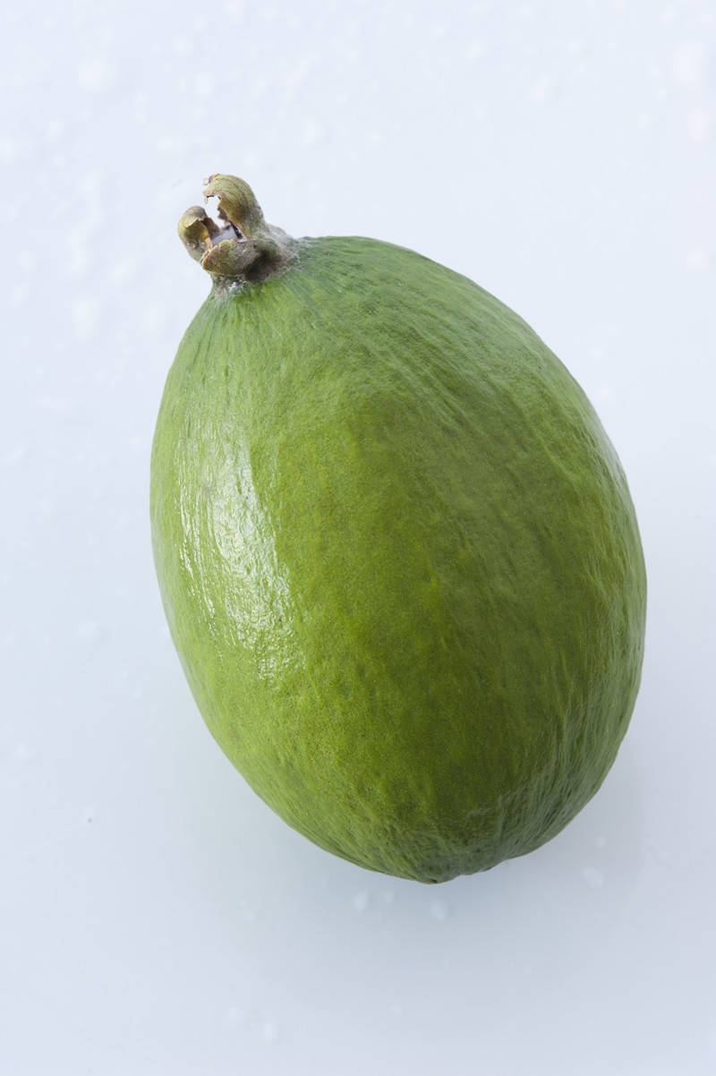 The Solo Feijoa Wallpaper