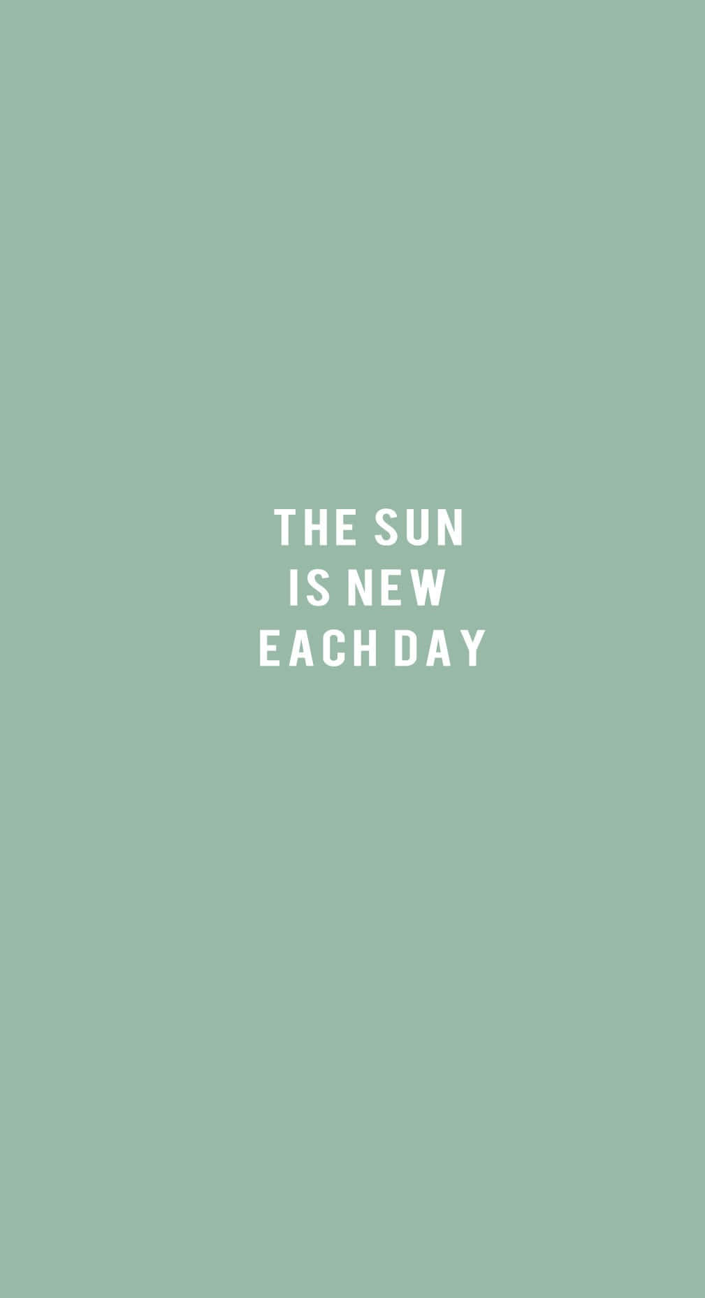 The Sun Is New Each Day Cute Sage Green Wallpaper