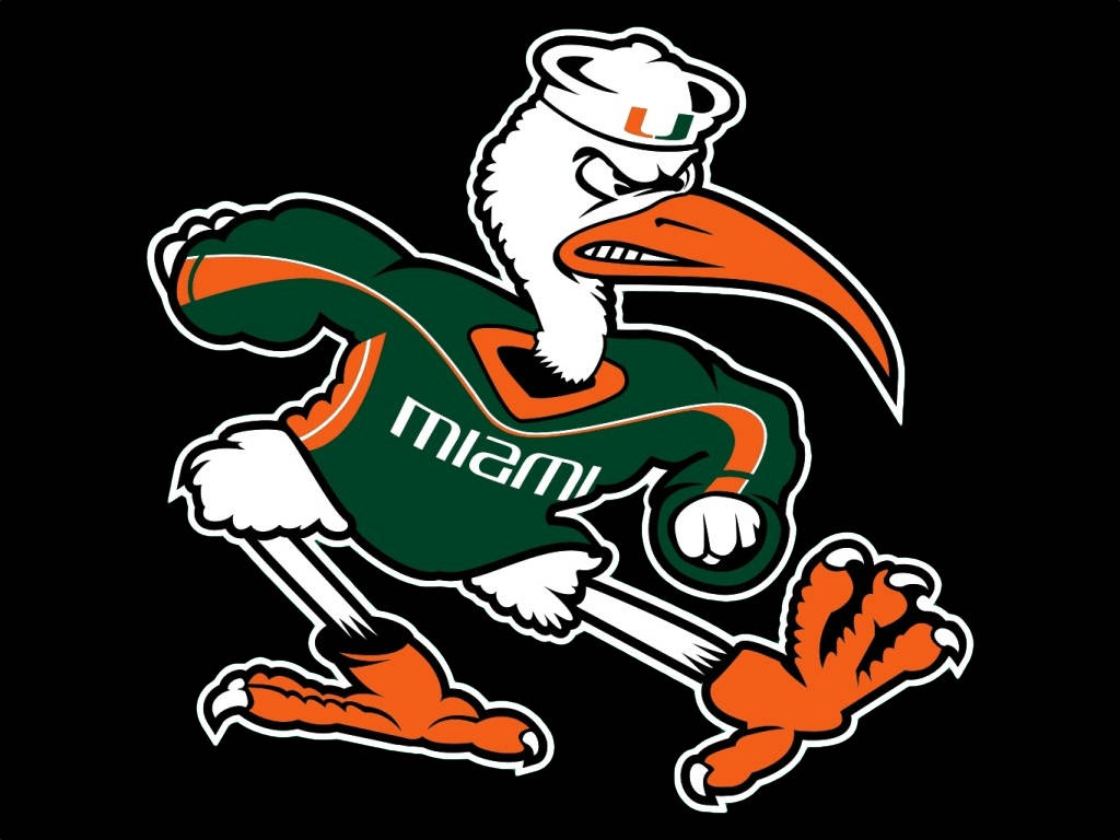 The Vibrant Mascot Of The University Of Miami In Full Costume Wallpaper