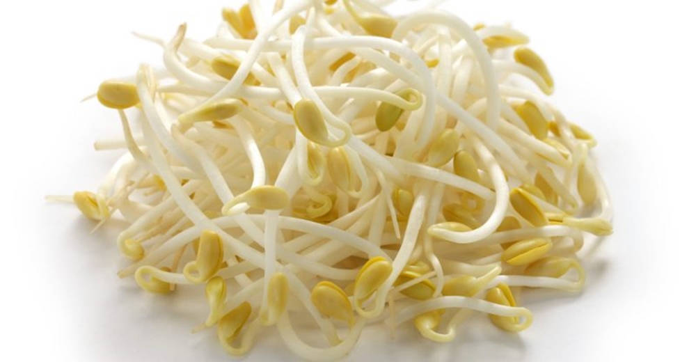 Thin Crisp Mung Bean Sprouts Vegetable Wallpaper