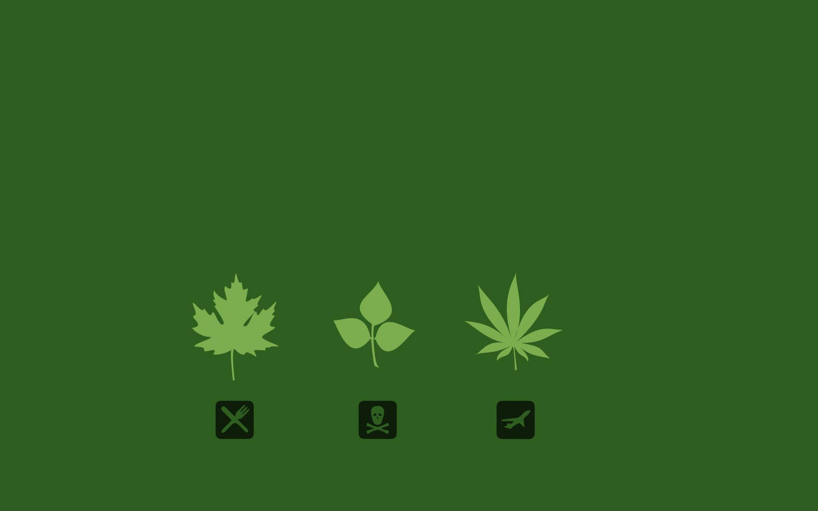 Three Cannabis Types Wallpaper