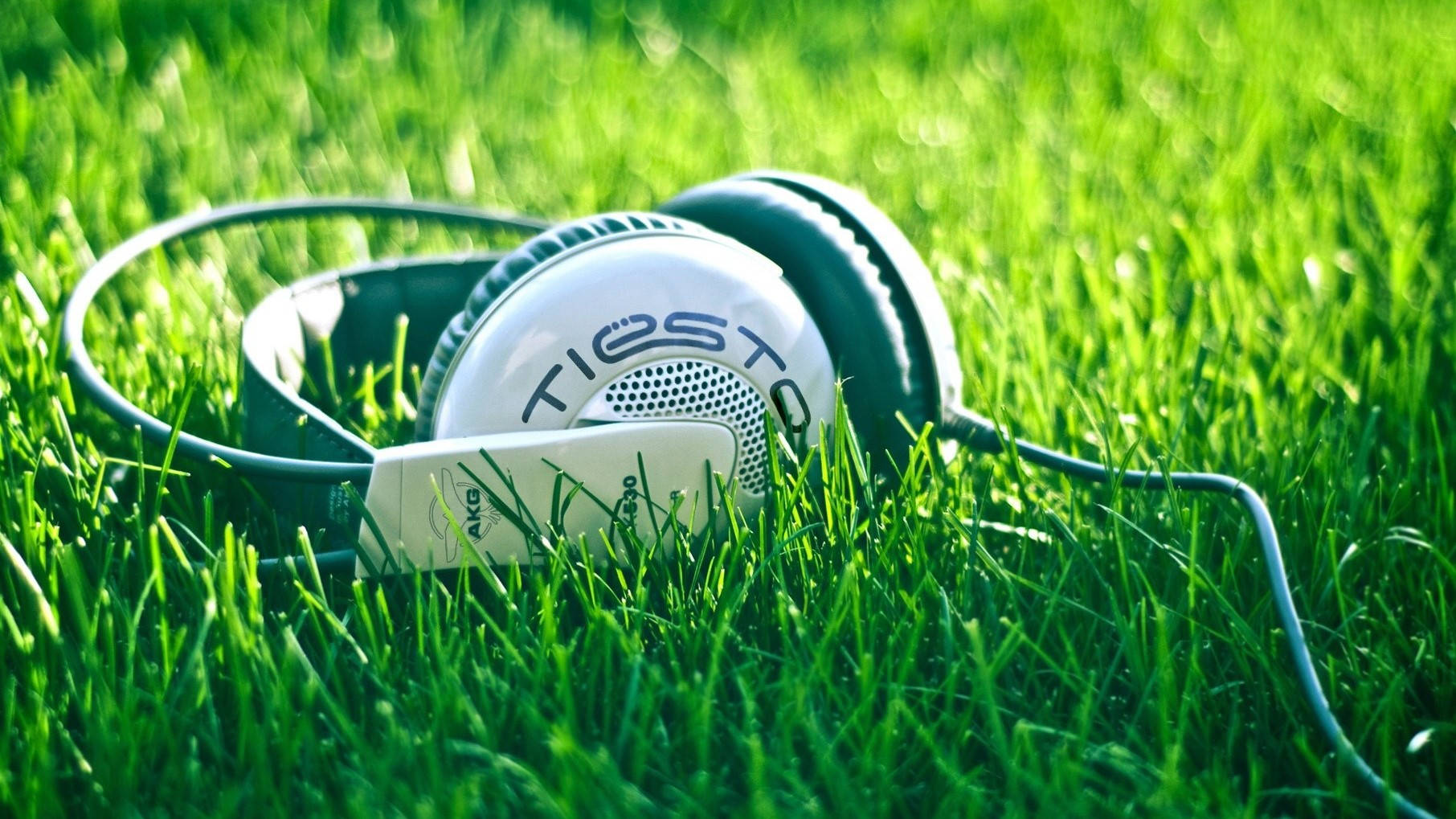 Tiesto White Headphones Wallpaper