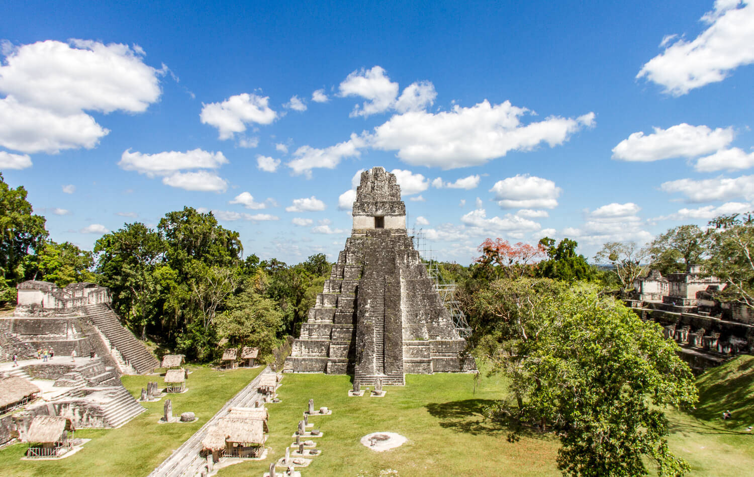 Tikal In The Day Wallpaper